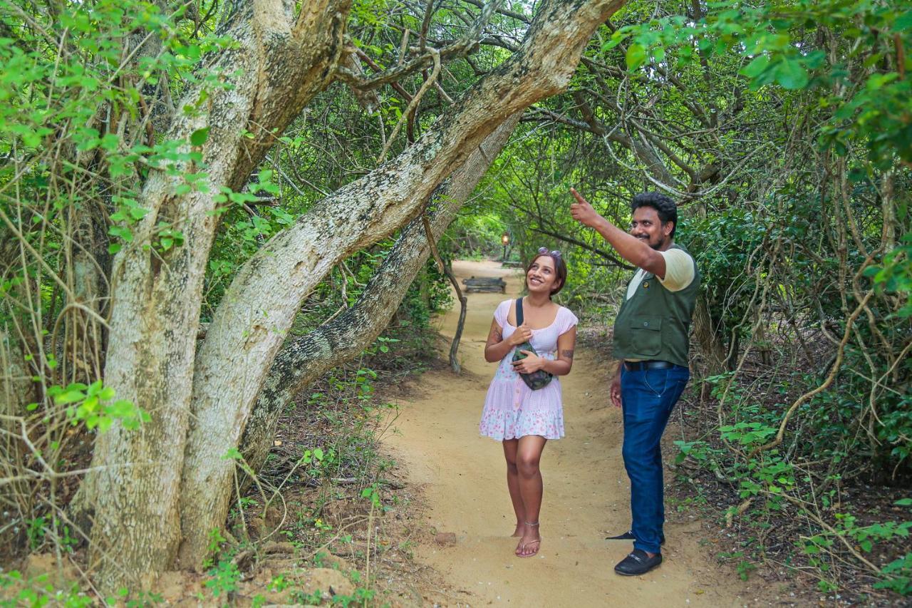 Leopard Nest - Glamping In Yala Hotel Exterior photo