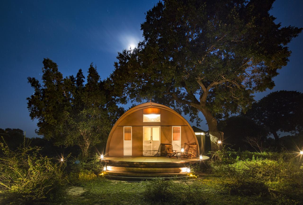 Leopard Nest - Glamping In Yala Hotel Exterior photo