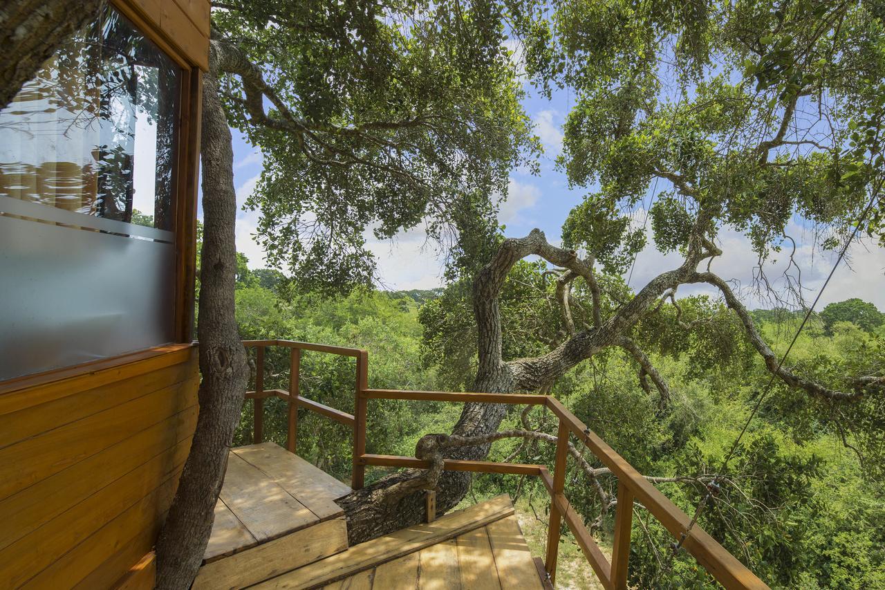 Leopard Nest - Glamping In Yala Hotel Exterior photo